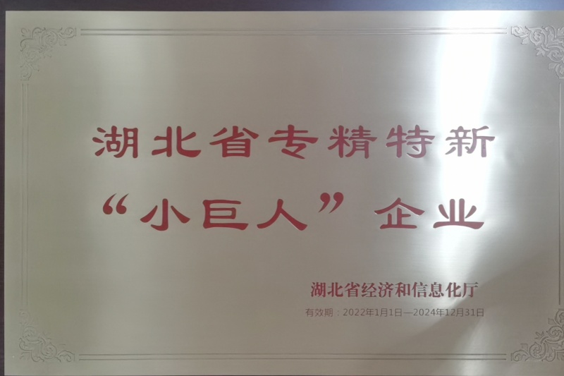2022年公司獲得 湖北省專(zhuān)精特新“小巨人”企業(yè) 稱號(hào)